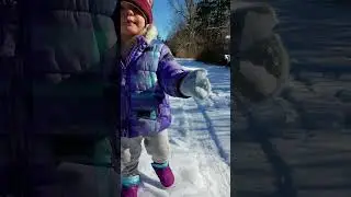 ASMR | Snow Cronches With Cats  #feelthetingle  #snow  #tinglesensation #cats #snowasmr