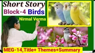 ✔️Birds short story  by Normal Verma in Hindi+ English, title,themes, summary,meg-14,ignou..