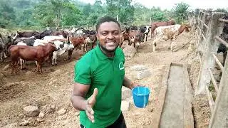 2025 is here, our very first project of the year. the farmers solution.