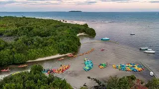 Kayaking to the Bioluminescent Bay, Fajardo, Puerto Rico; Slow TV