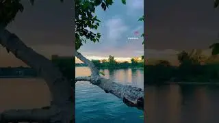 A Picture-Perfect Sunset: Why Humber Bay West Park is Toronto&rsquo;s Must-See| Humber Bay West Park 🇨🇦