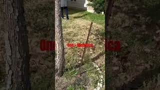 #one #metallica #business #entrepreneur #makemoney #viral #mowing #grass #lawn #shorts #lawncare #it