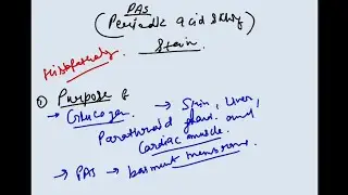 Pas stain  | special stain in histopathology | Periodic Acid Schiff method  (PAS)