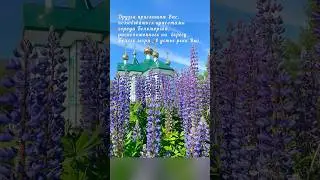 Карелия. Беломорск. Белое море. Река Выг. 19 шлюз Беломоро-Балтийского канала