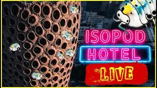 Isopods Lazy Relaxing Day At Isopod House Hotel