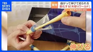 曲がって伸びて絞られる　進化する「木彫りワールド」｜TBS NEWS DIG