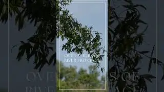 A sprawling 449-acre wilderness in Wheeler County, Georgia. 🦌🎣⁠#riverfront #realestate #georgia
