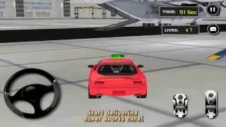 Airplane Car Transporter Pilot