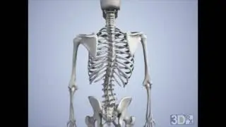 The Effects of Carrying a Heavy Backpack