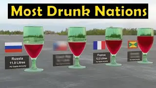 Top 10 Alcohol Drinking Countries in the World per capita 🥃🍺🍷