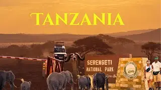 Tanzania Safari Begins: Into the Wild...Where the wild still rules!