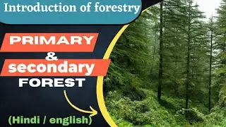 Primary and secondary forest || introduction of forestry