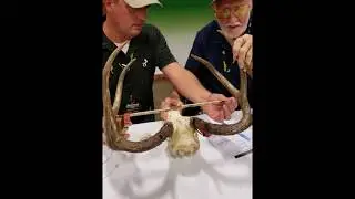 Horace Gore and Jason Shipman Scoring Whitetail Buck