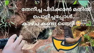 തേനീച്ച പിടിക്കാൻ മതിൽ പൊളിച്ചപ്പോൾ കാഴ്ച കണ്ട് ഞെട്ടി 😳🐝🐍caught a honey bee hiding inside the wall|