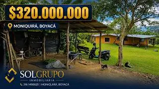 Finca cafetera en venta  Moniquirá Boyacá | Colombia |  ¡CONTÁCTANOS!