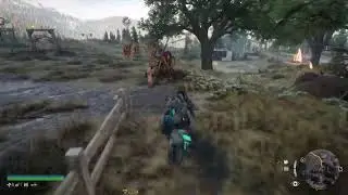 Days gone