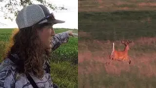 HOW TO HUNT STAGING AREAS - BIG BUCKS ON PUBLIC LAND