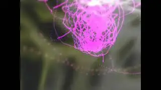 Sasha Lomkov - Dance