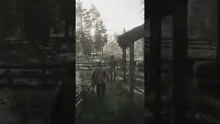 It's all good, calm down! #rdr2 #arthurmorgan #shorts #gameplay