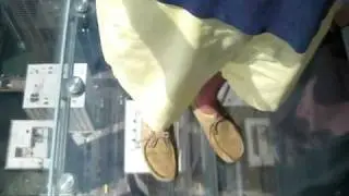 ProfessionalTravelGuide.com Editor Conquers Fear of Heights on Sears Tower