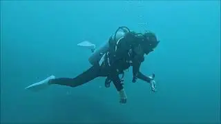 Scuba Diving  in Sri Lanka - 12th December 2025 - 