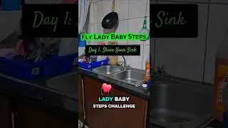Day 1: Shine Your Sink | Fly Lady Baby Steps Reset #cleanhomehappyhome