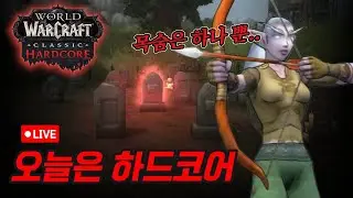 하코인데 왠지모를 익숙함..?✨ [WoW 하드코어]