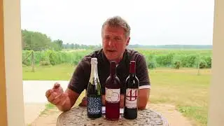 VINTNER'S CHOICE CLUB: 2018 Fall Release Wines
