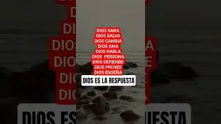 No Busque m&aacute;s esta es tu soluci&oacute;n
