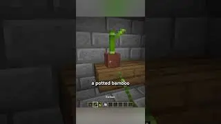 glowberry plant