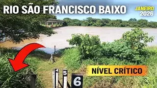 INCOERÊNCIA EM TRÊS MARIAS: O Rio São Francisco está secando em pleno Janeiro? (Pirapora-MG)