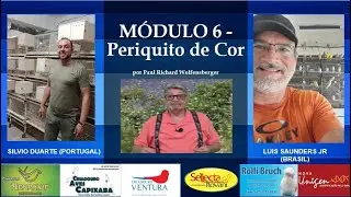 Módulo 6 - Periquito de Cor