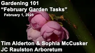 Gardening 101 - 