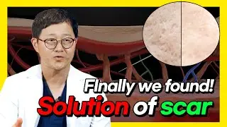 Coratherapy Explained The Origins, Intent, and Beliefs Behind the Hanbang Method