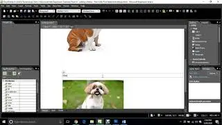 Topic 8 - Adding a Menu - Part 3