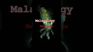 Malacology#Study of Mollusca#biology@piyushhans8356