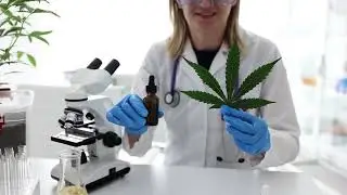 CBD, CBG, CBN, THC & CBV Explained in 7 Minutes | Complete Cannabinoid Guide for Beginners