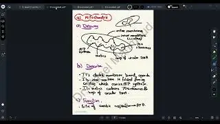 Dr. Basel - Edexcel IAL Unit 2 Biology in a nutshell