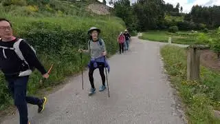 Camino Day 5 Arcade to Pontevedra