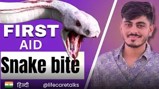 How To Survive A Snake Bite