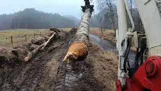Cleaning up beaver dams (Takeuchi TB175)