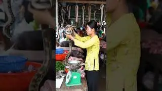 Traditional Market Atmosphere with Unique Local Goods