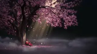 Wallpaper Engine: Sakura ❖ Beautiful Music