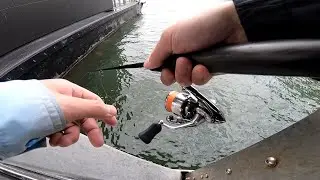 What Happens When You Fish At A Ferry Wharf With Lures?