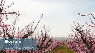 Dan Crisci Jazz Piano Meditations Featured Video