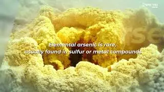 Element of the Month: Arsenic &ndash; When Dose Matters