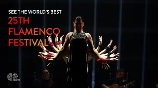 25th Flamenco Festival | New York City Center