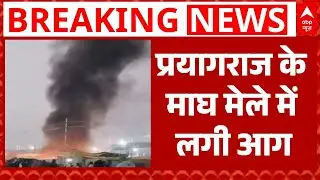 Prayagraj Magh Mela में हादसा टला, नारायण शुक्ला धाम शिविर में लगी आग | Breaking