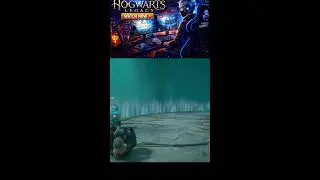Hogwarts Legacy LIVE Gameplay | Exploring Hogwarts & Magical Quests 🪄