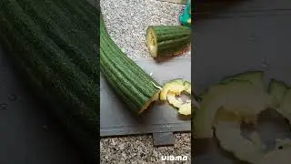 Армянский огурец. пробуем.